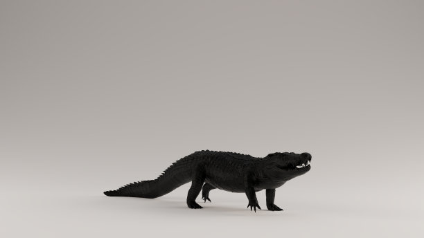 黑色鳄鱼3四分之一右视图图片下载