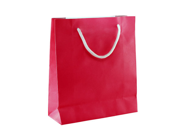 单一模型的红色空纸购物袋与白色麻绳携带图片下载