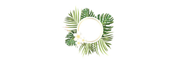 热带海滩。植物丛林棕榈背景。向量回归插图。绿色热带海滩横幅图片下载