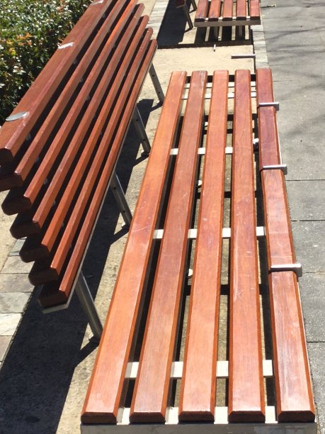 公园的长椅上图片下载