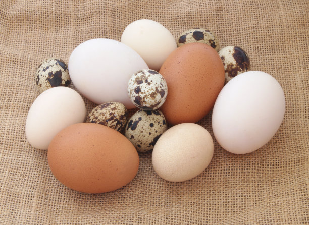 不同的鸡蛋在麻袋的背景图片下载