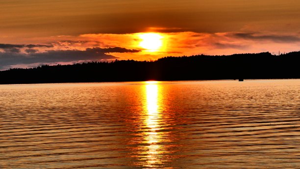 滨水森林上色彩鲜艳的日落图片下载