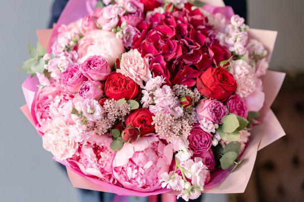 粉色的牡丹和红色的绣球花。女人手里拿着一束美丽的混合鲜花。花店概念。英俊的新鲜的花束。花交付。红色和粉红色。素材图片