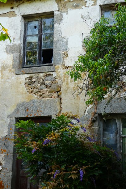 废弃的房子图片下载