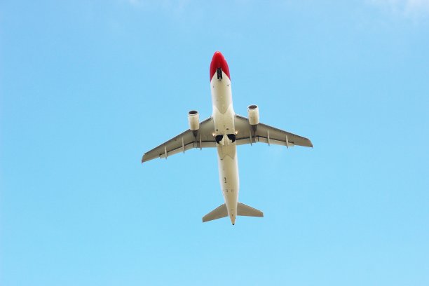 飞机/起飞/攀登/夏天/晴朗的天空/度假图片下载