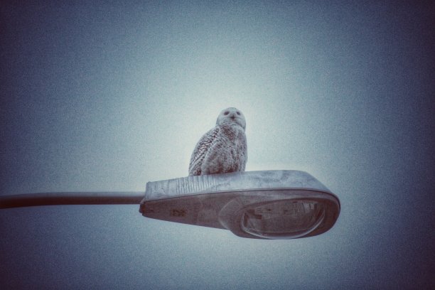 我看见你了图片下载