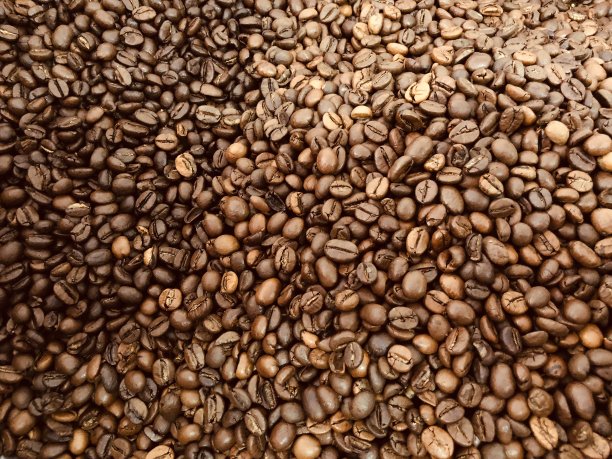 烤咖啡豆图片下载