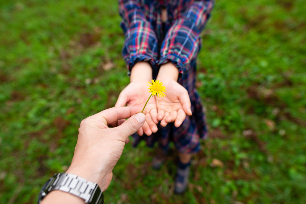 父母和孩子递上黄花图片下载