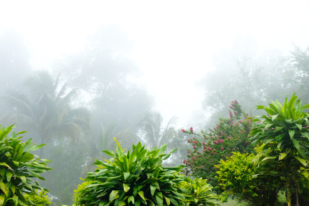 浓雾笼罩泰国北部清迈的山脉。清晨雨后，是令人心旷神怡的自然景观概念图片下载