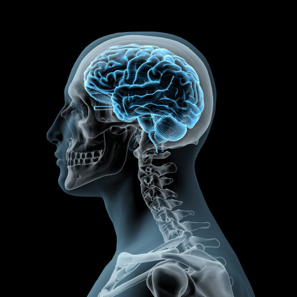 侧面的人的头和大脑在黑色的背景图片下载