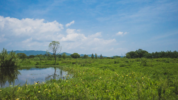 中国杭州良渚古城遗址景观图片下载