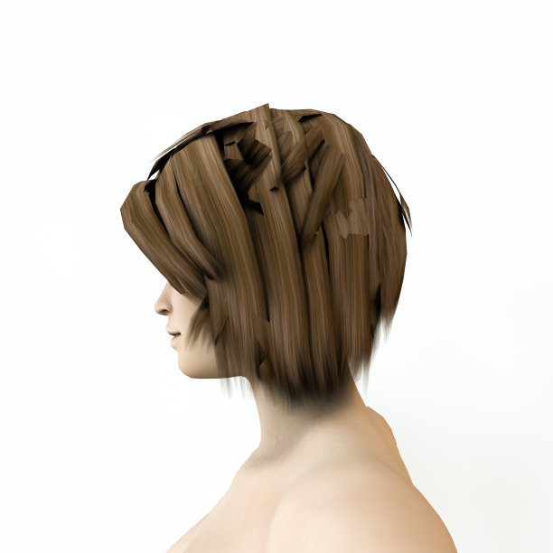 女人解剖模型图片下载