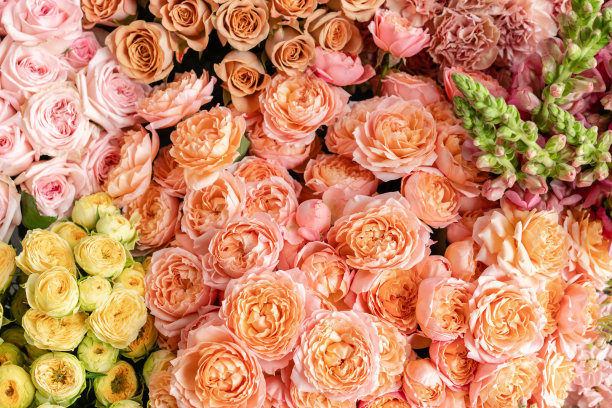 花地毯或墙纸。背景混合鲜花。美丽的花目录或网上商店。花店和交付概念。前视图。本空间图片下载