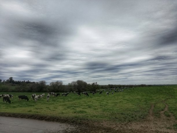 雨后的田园风光图片下载