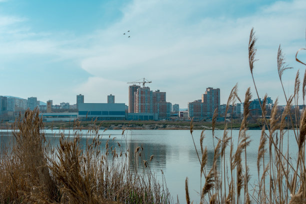 英雄城市新罗西斯克的城市景观图片下载