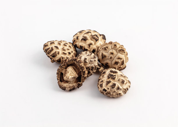 白色背景上的一组干香菇图片下载