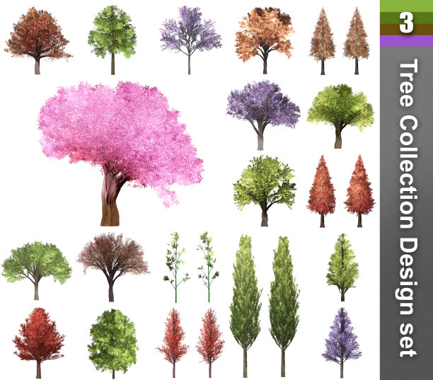 树校正设计集。3 d演示。白色背景隔离。自然与园林设计。图片下载