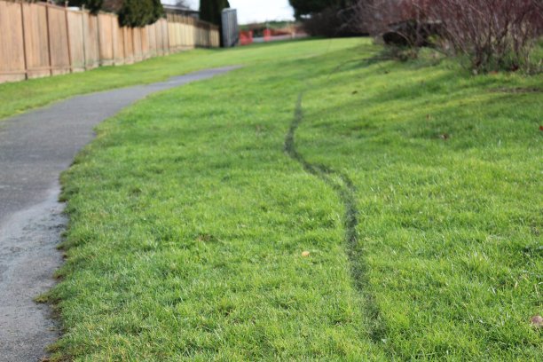 两条路径图片下载