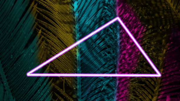 近距离观察异国情调的热带树叶，霓虹色图片下载