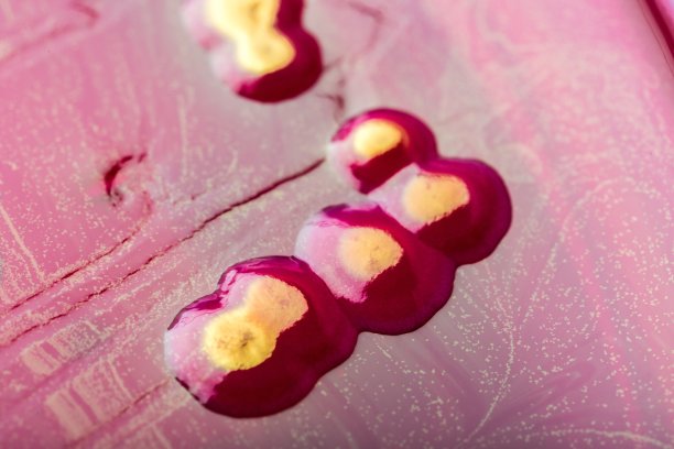 的生活。图片下载