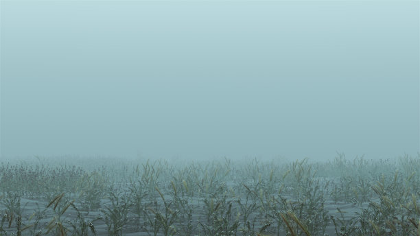 雾水虚空芦苇和草的背景图片下载
