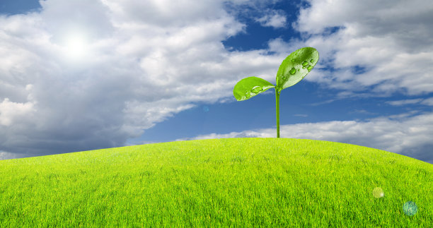 青青的小草和冉冉升起的嫩绿的嫩芽，在蓝天的背景下，象征着为新生命而奋斗。生态学的概念。图片下载