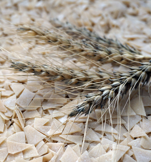 烘焙产品和麦穗，手工面条和麦穗，图片下载