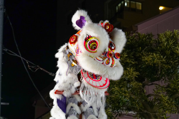 农历新年、春节的活动(横滨唐人街)图片下载