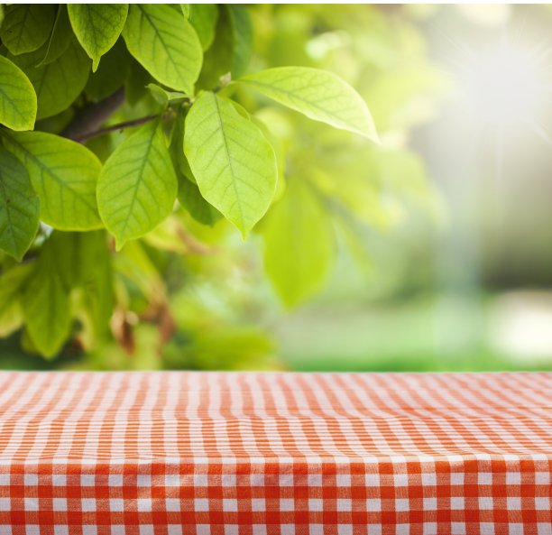 野餐。图片下载