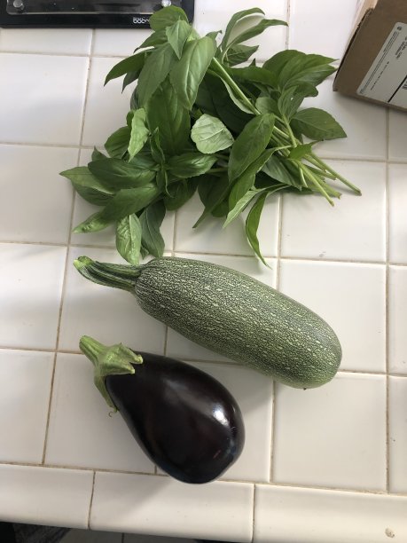 后院的收获图片下载