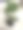 后院的收获图片下载