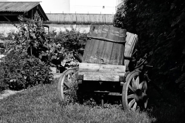 花园里放着一辆古老的手推车和水桶图片下载