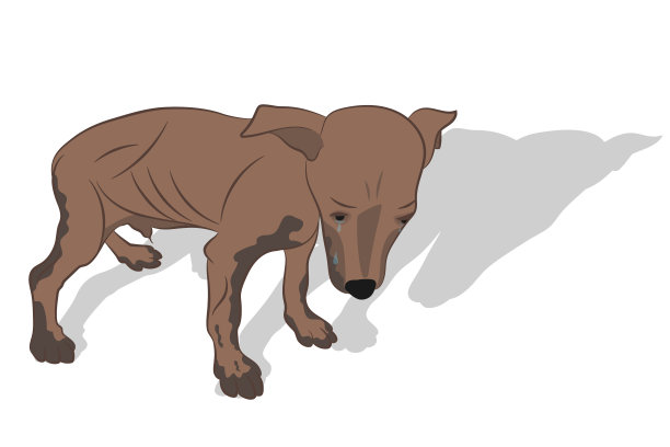 悲伤哭泣的孤独小狗图片下载