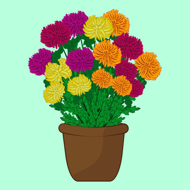 一束不同颜色的菊花放在一个棕色的罐子里图片下载