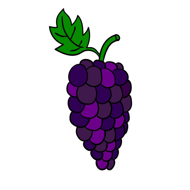 卡通涂鸦线性葡萄孤立在白色的背景。矢量插图。图片下载