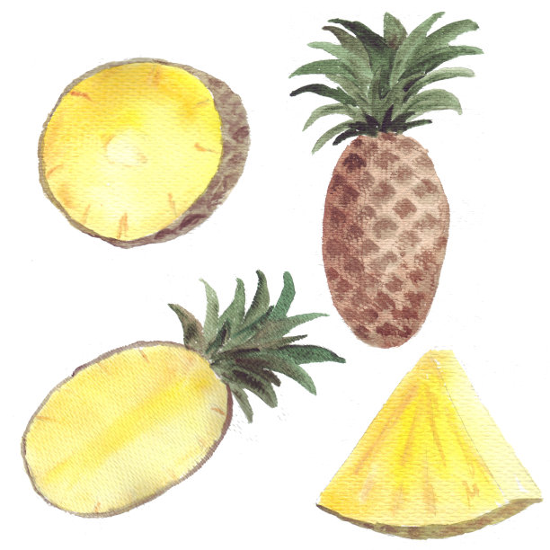 多汁的水果套完整的黄色和切碎的菠萝，以及它的叶子图片下载