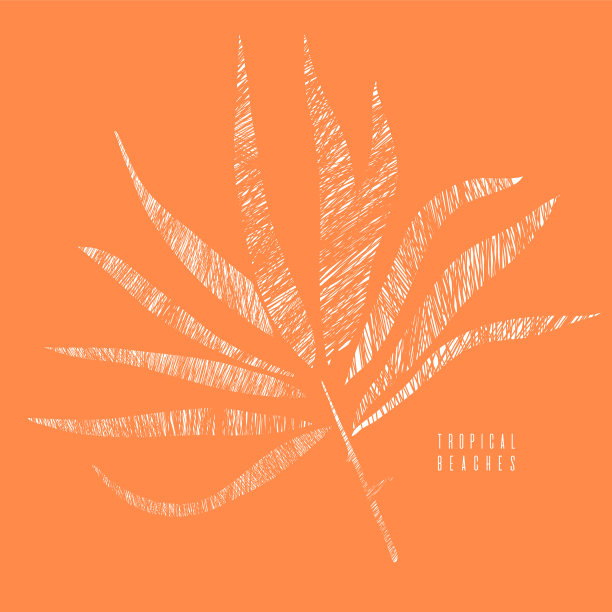 插图与棕榈叶。图标，标签，标志，印刷，海报海滩度假，热带气候。画画旅游，旅游，旅行社。图片下载