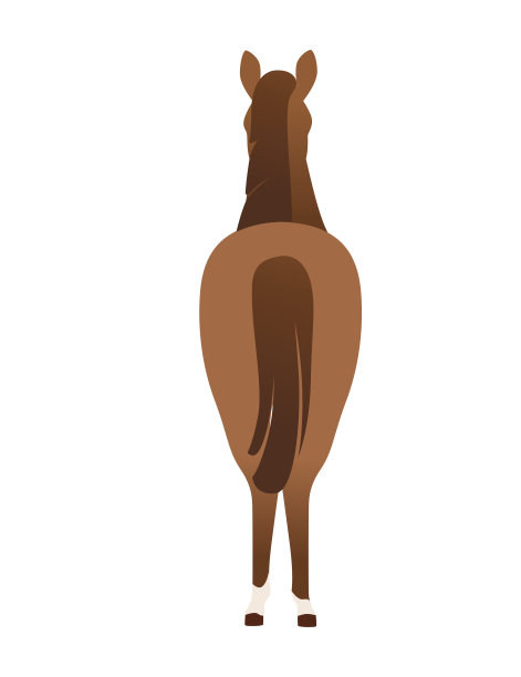 棕色马野生或家畜卡通设计平面矢量插图孤立在白色的背景图片下载