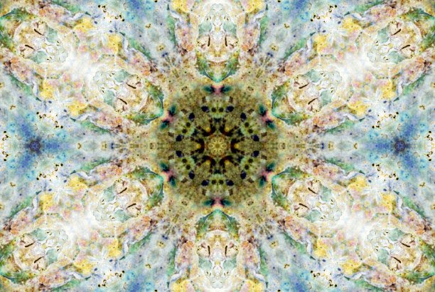 创意自然鲍鱼启发曼荼罗图片下载