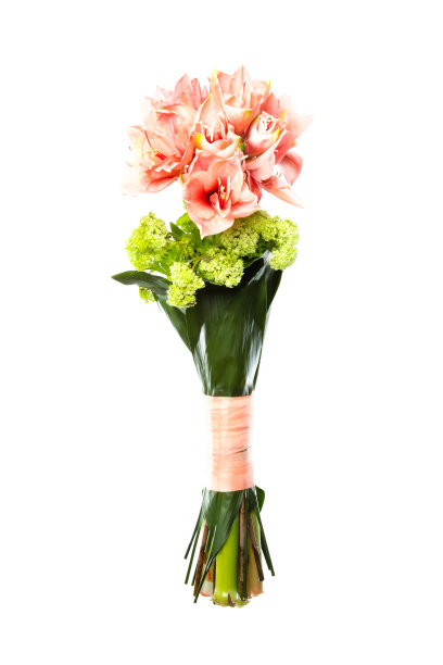 许多不同的花的花束图片下载