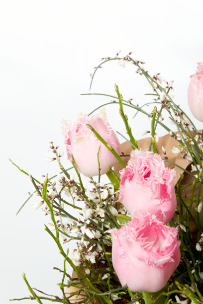 许多不同的花的花束图片下载