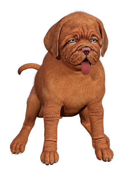 3D插图小狗在白色图片下载
