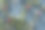 一个美丽的常春藤。图片下载