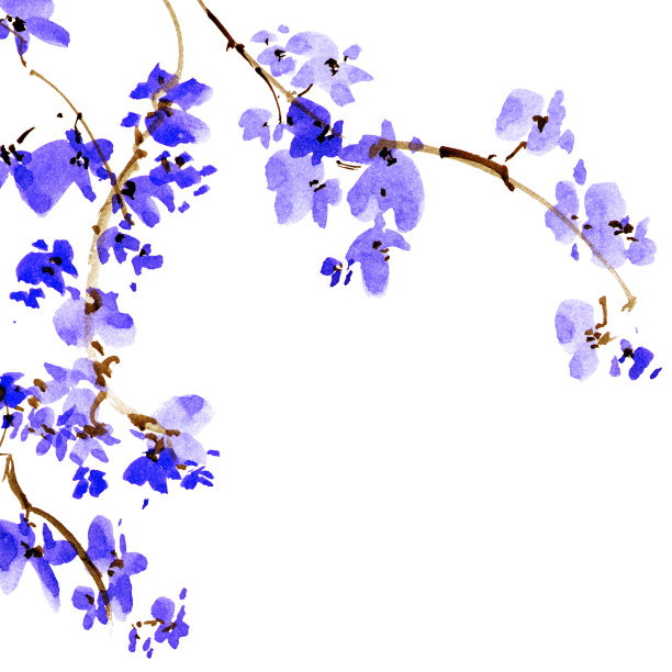 开花树枝图片下载