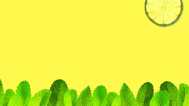 夏天的背景草和太阳制成的绿色薄荷叶和柠檬薄荷颜色在明亮的黄色背景。图片下载
