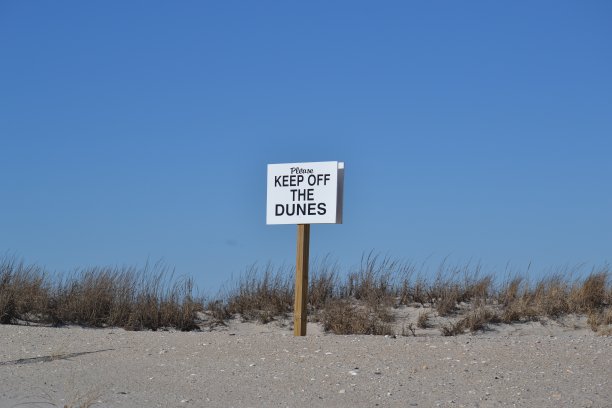 远离沙丘图片下载