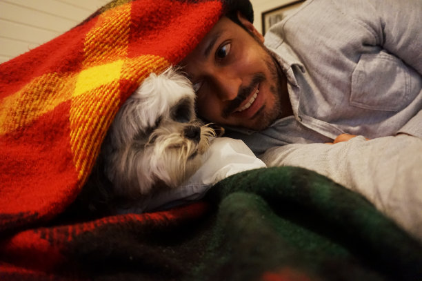 穿着红毯子的人和狗图片下载