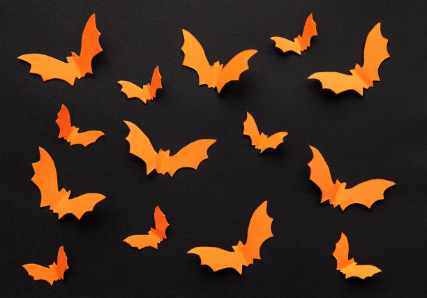 万圣节的节日装饰图片下载