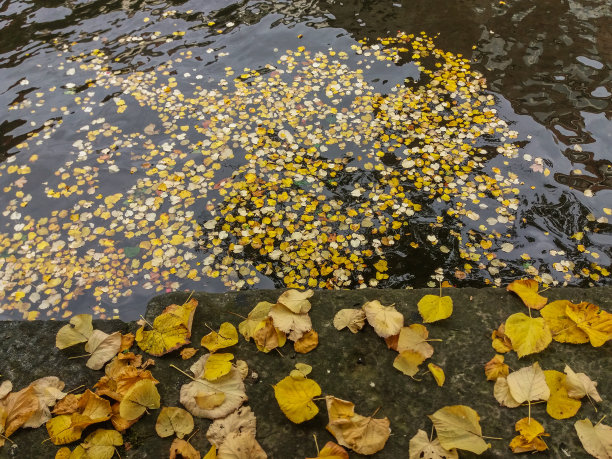 比利时布鲁日的运河和古老建筑图片下载