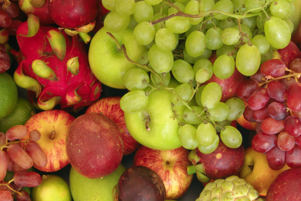 热带水果的分类作为背景图片下载